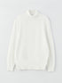 LC Waikiki Turtleneck Long Sleeve Men's Tricot Sweater